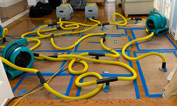 Professional Crawl Space Water Removal technician working in Erie, PA